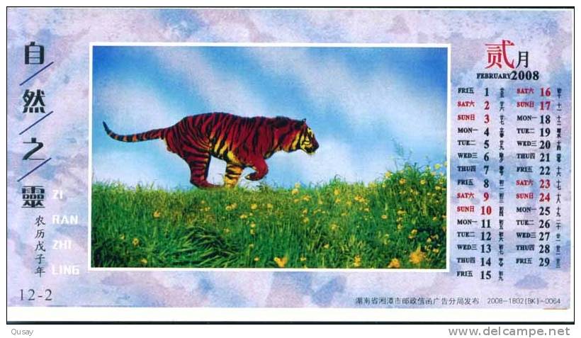 Tiger . Pre-stamped Card , Postal Stationery - Rhinocéros