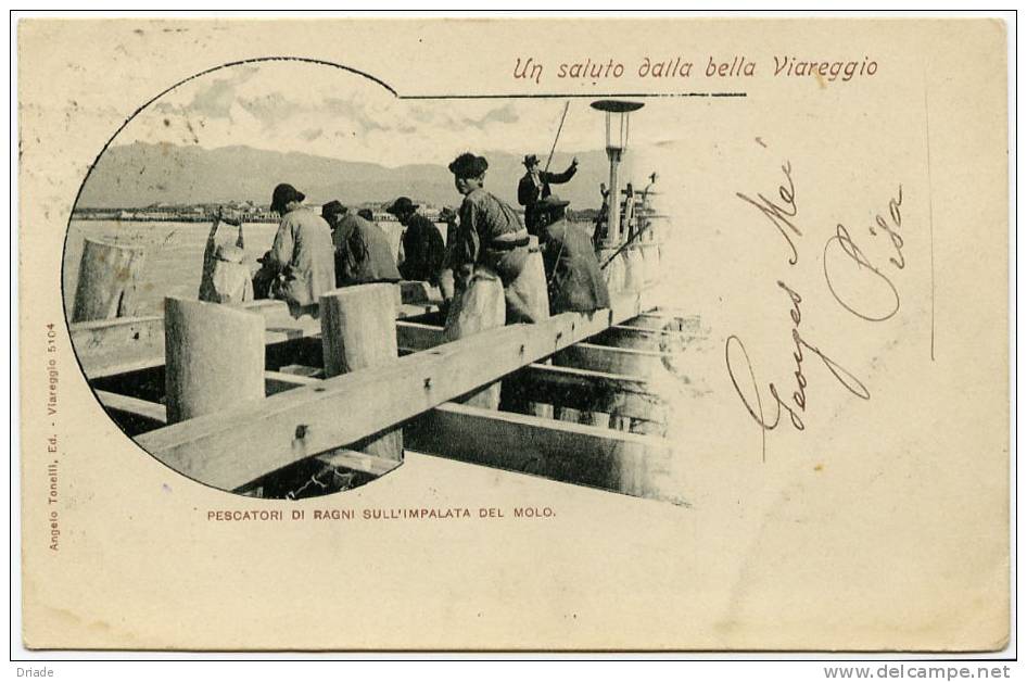 CARTOLINA DI VIAREGGIO-PESCATORI DI RAGNI SUL MOLO-VIAGGIATA- - Viareggio