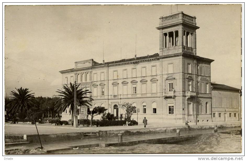 FOTO-CARTOLINA DI VIAREGGIO - Viareggio