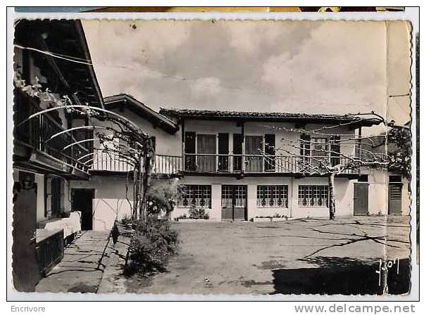 Cpsm ST ETIENNE DE BAIGORRY Pension De Famille JUANTORENA  -yvon - Saint Etienne De Baigorry