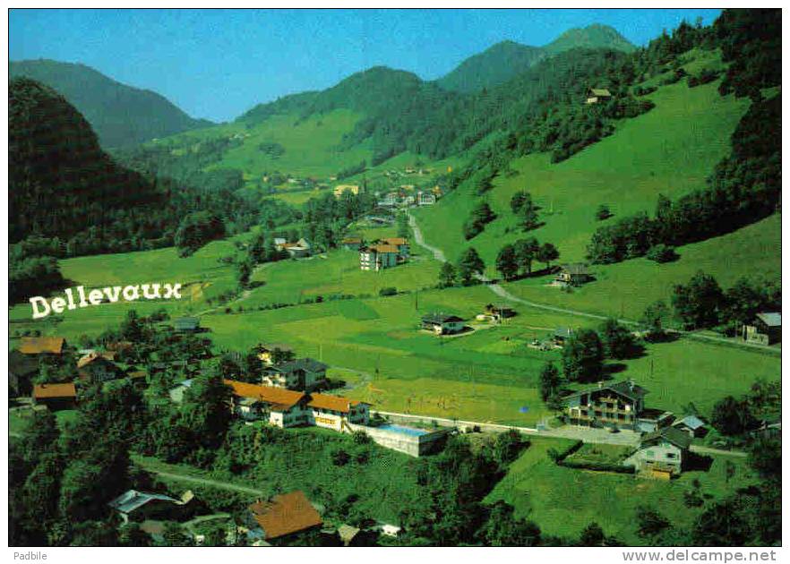 Carte Postale 74.  Bellevaux   Trés Beau Plan - Bellevaux