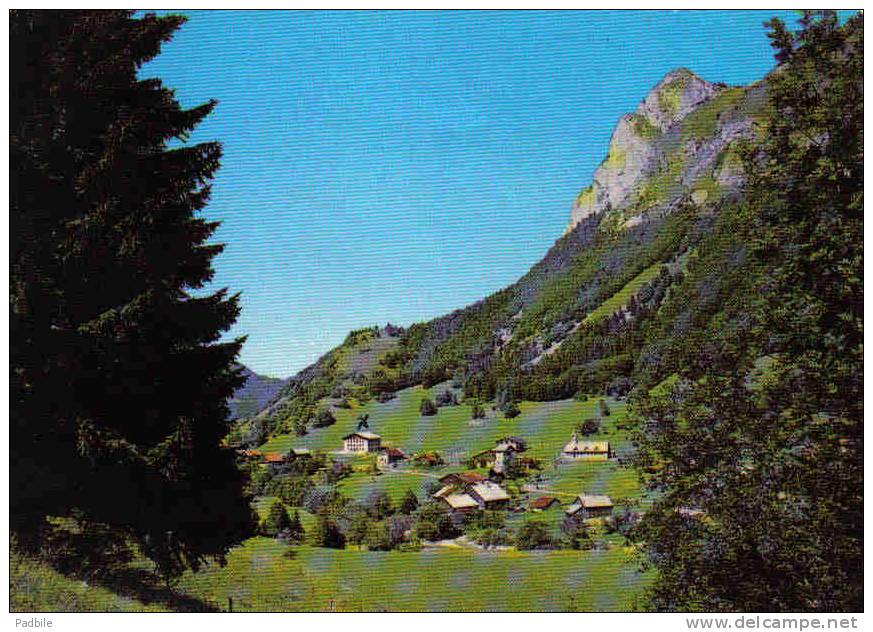 Carte Postale 74.  Bellevaux   Trés Beau Plan - Bellevaux