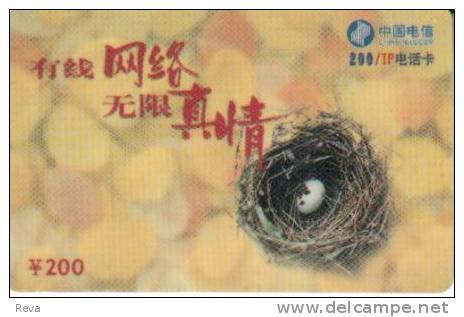CHINA 200 Y  BIRD BIRDS  NEST EGG HEILONGJIANG PROVINCE(?) READ DESCRIPTION !! - Cina