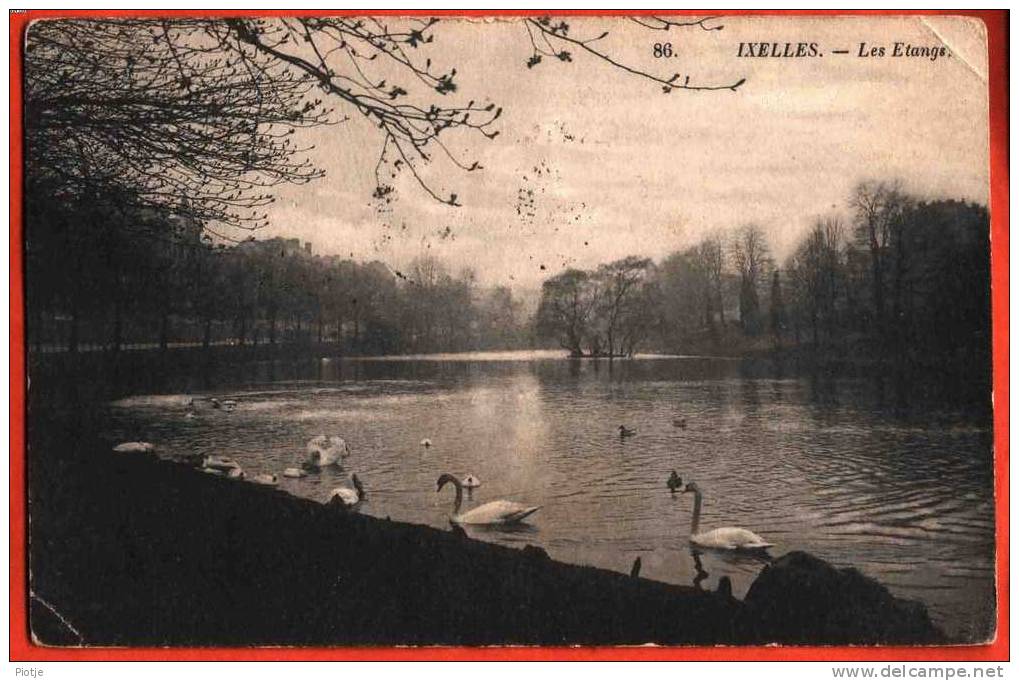 * Brussel - Bruxelles - Brussels * (Elsene - Ixelles) Très Vieux Carte Old, Les étangs, Cygne, Zwaan, Swane, Vijver,pont - Ixelles - Elsene