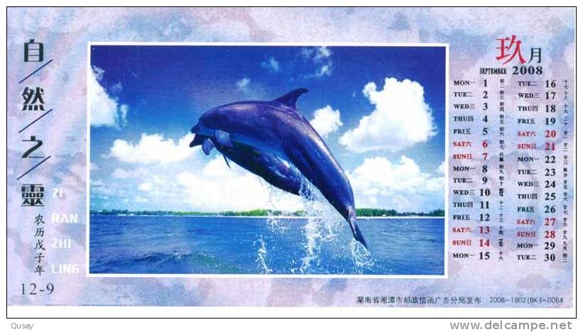 Rare Animal Species, Dolphins ,  Pre-stamped Card, Postal Statieonery - Delfines