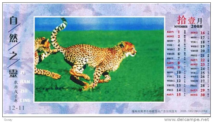 Rare Animal Species, Leopard  ,  Pre-stamped Card, Postal Statieonery - Rhinocéros