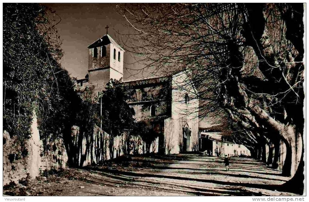 84 - CPA - MALAUCENE, L'EGLISE (dentelée) - Malaucene