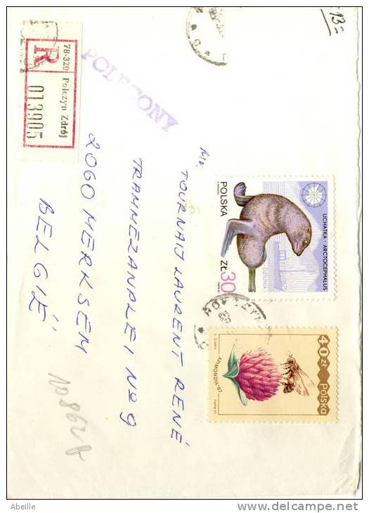 10.862A  LETTRE  POLOGNE - Abeilles