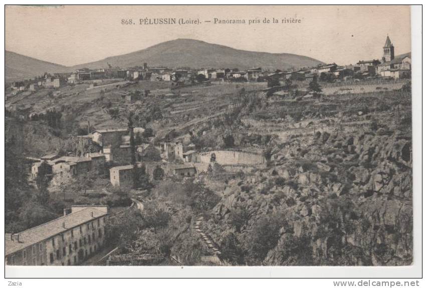 42.330/ PELUSSIN - Panorama Pris De La Riviére - Pelussin