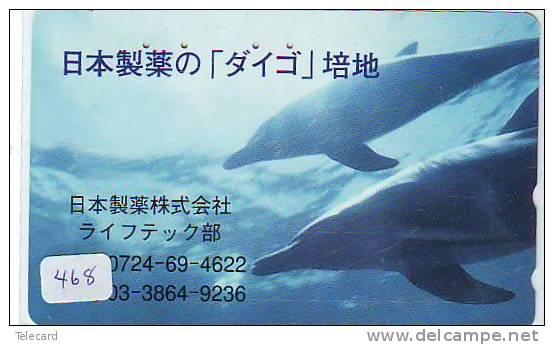 DOLPHIN DAUPHIN Dolfijn DELPHIN Tier Animal (468) - Delfines