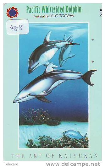 DOLPHIN DAUPHIN Dolfijn DELPHIN Tier Animal (488) - Delfines