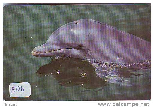 DOLPHIN DAUPHIN Dolfijn DELPHIN Tier Animal (506) - Delfines