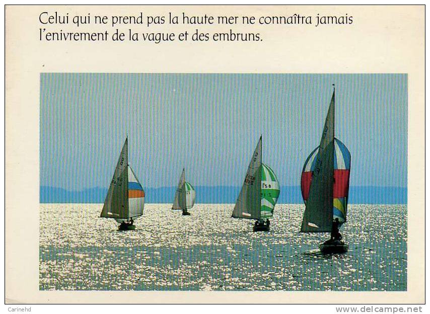 VOILES - Voile