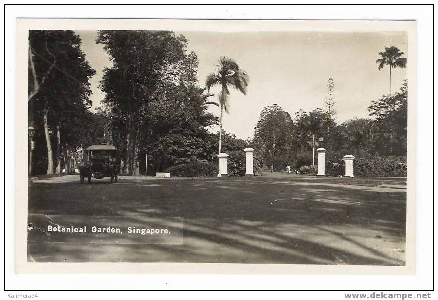 SINGAPOUR   /  BOTANICAL  GARDEN , SINGAPORE  ( Automobile Années 20 ) / RARE  CARTE-PHOTO ( Cliché Argentique ) - Singapur