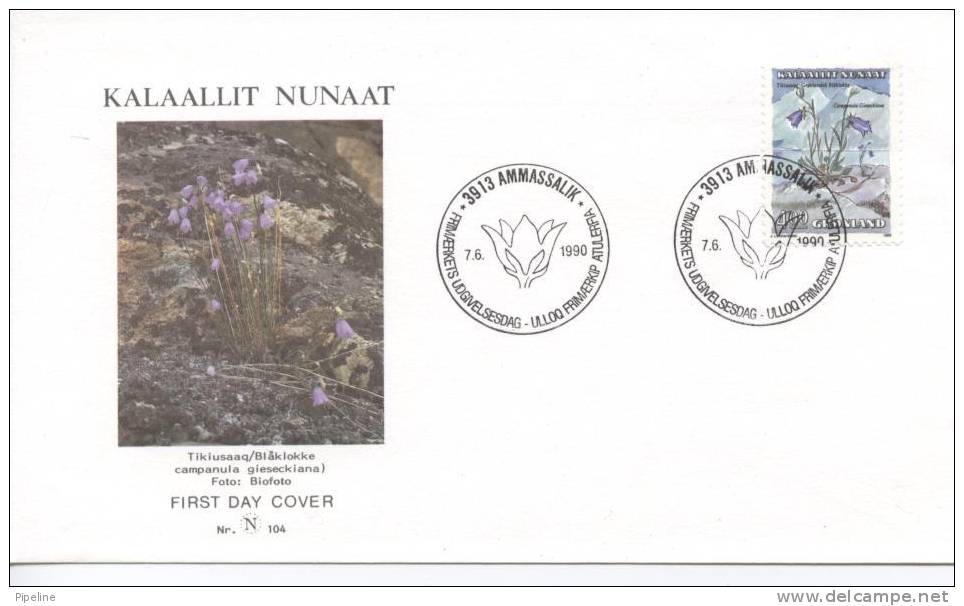 Greenland FDC Flowers 7-6-1990 With Nice Cachet - FDC