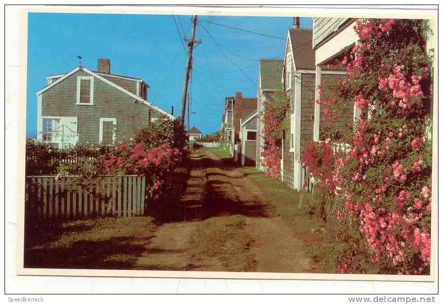 10530 Rose Covered Cottage Nantucket Island . MA2341D Photo Dick Mackay . - Nantucket