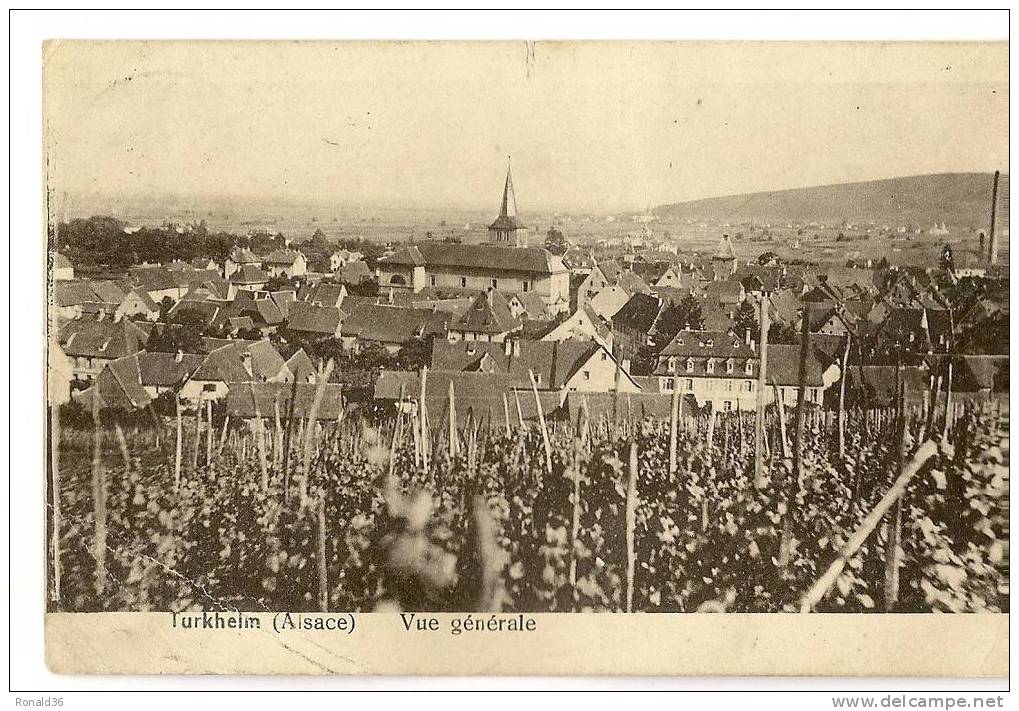 CP 68 TURCKHEIM Vue Générale (vignes, Clochet) - Turckheim
