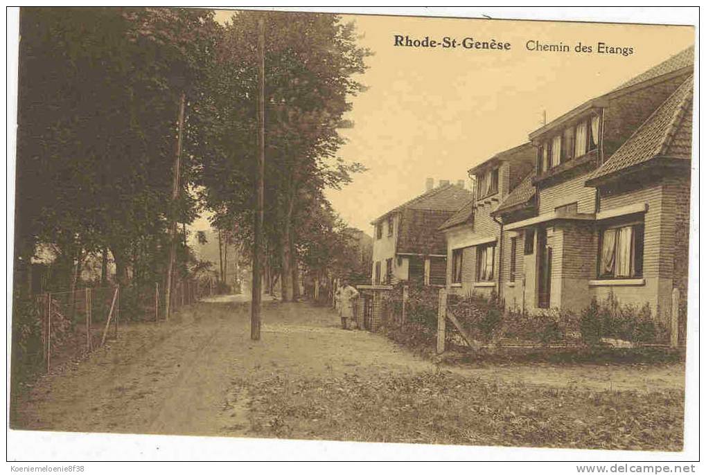 RHODE-ST-GENÈSE - CHEMIN DES ETANGS - St-Genesius-Rode