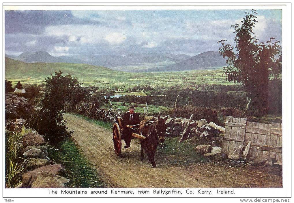 The Mountains Around Kenmare, From Ballygriffin, Co. Kerry - Attelage - Kerry