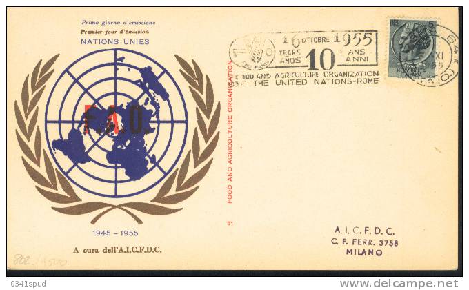 1955 Italia 10 Ans FAO - ACF - Aktion Gegen Den Hunger