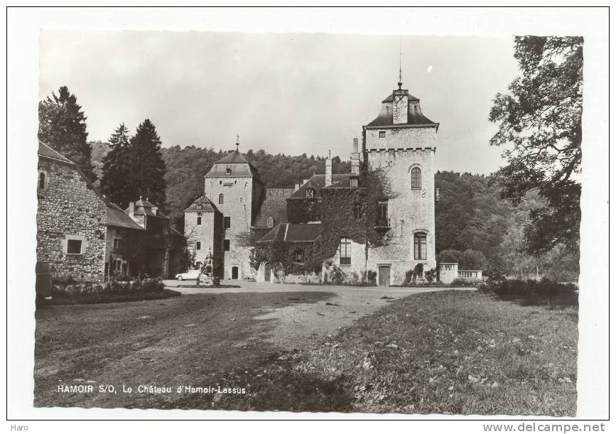 HAMOIR S/OURTHE - Le Château D'Hamoir-Lesus (263) - Hamoir