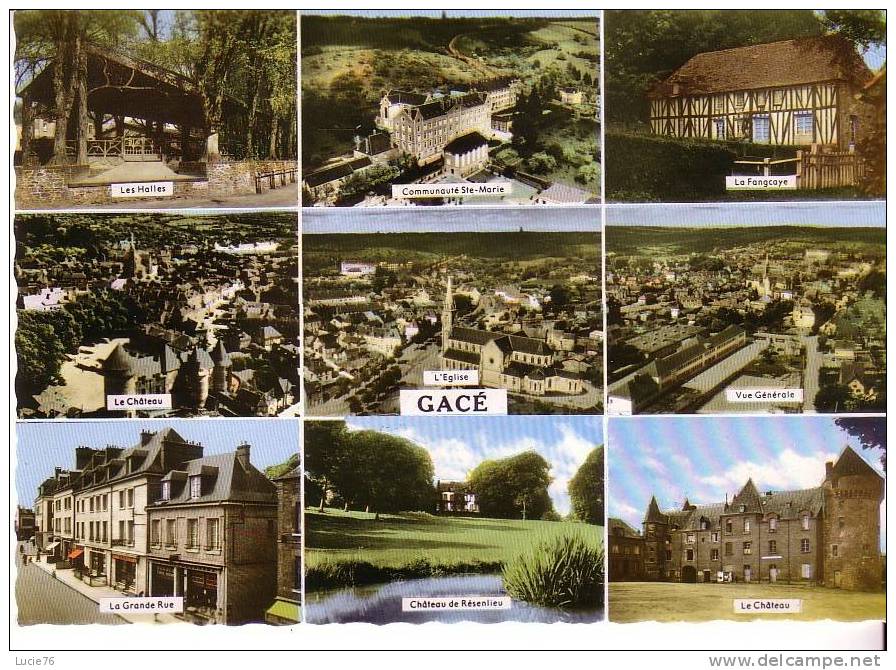 GACE - 9 Vues : Halles, Communauté Ste Marie,  La Fangcaye, Château, Eglise, Vue Générale, Grande Rue, Château Résenlieu - Gace