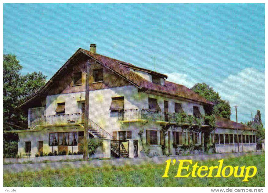 Carte Postale 74. Douvaine  L'Erterloup  Mr. P. Buridant Trés Beau Plan - Douvaine