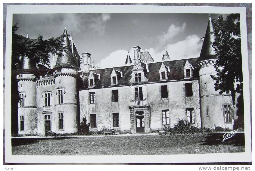 CP Photo De SARZEAU / PENVINS " Château Ker Thomas " . - Sarzeau