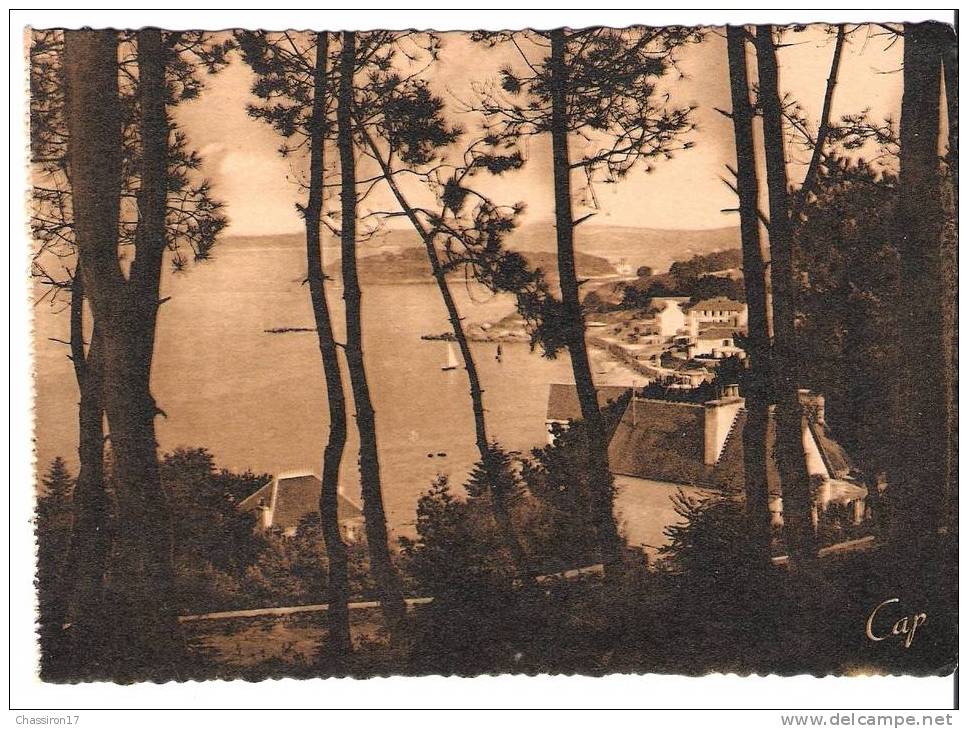 29 - TREBOUL  -  Vue Prise Du Bois D´Isis - Tréboul