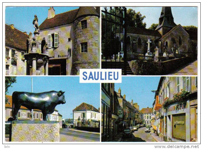 SAULIEU - Multivue (Citroën DS Et 2CV) - Saulieu