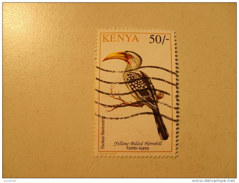 Kenya. 1993 - Cuco, Cuclillos