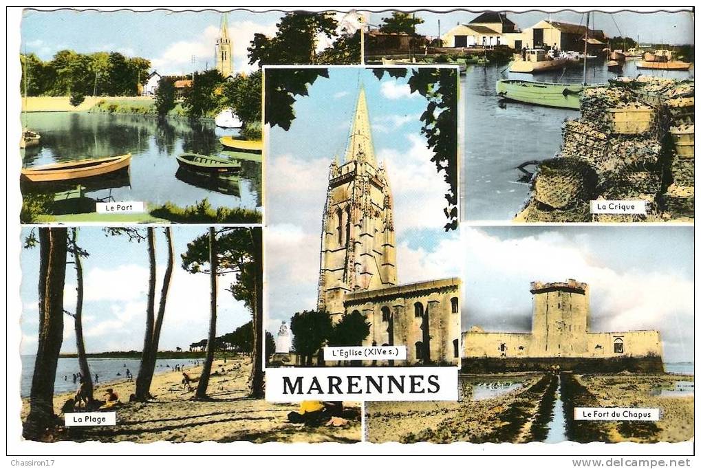 17 -  MARENNES  -  Multivues  Couleur  CPSM - Marennes