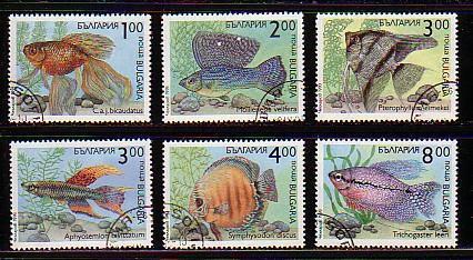 BULGARIA / BULGARIE - 1993 - Poissons - 6v  Obl. - Usati