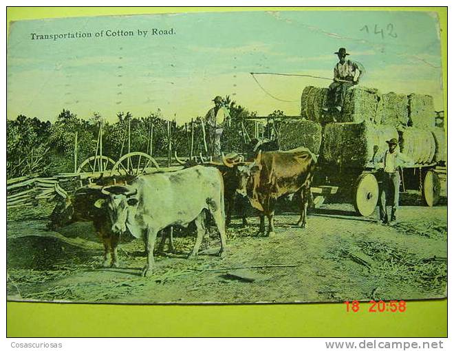 8446 ESTADOS UNIDOS  U.S.A   - TRANSPORTATION OF COTTON BY ROAD   AÑOS / YEARS  1900 - Black Americana