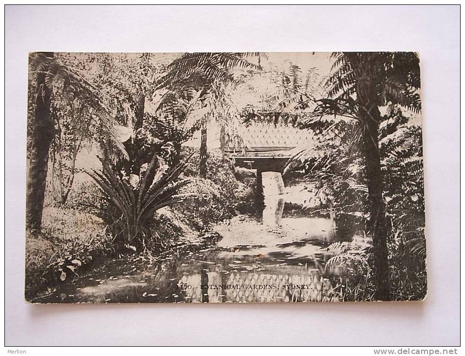 SIDNEY -Botanical Gardens -  1910-   G- D21995 - Autres & Non Classés