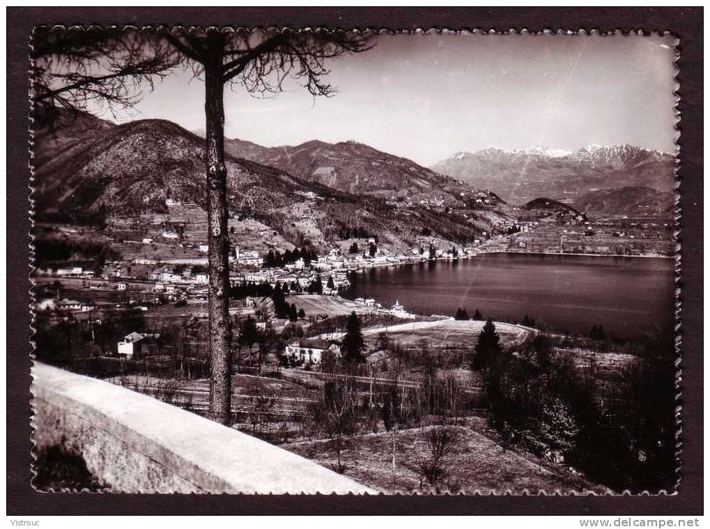 PONTE STRESA - Panorama - Non Circulé - Nicht Gelaufen - Not Circulated. - Tresa