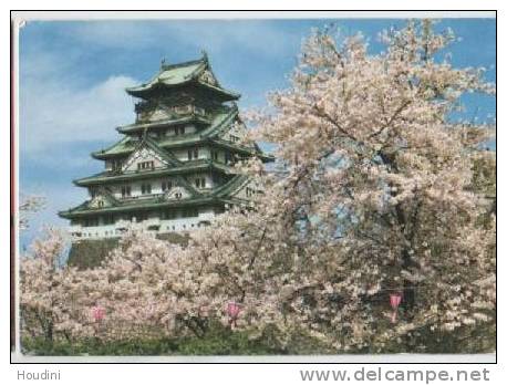 Japan - The Osaka's Castle Sourrounded By Cherry Trees In Full Bloom , Osaka - Osaka