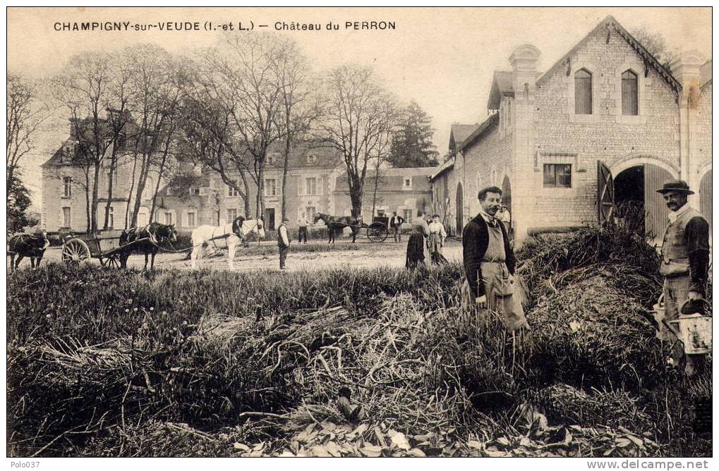 37 002   CHAMPIGNY SUR VEUDE  .  CHATEAU DU PERRON - Champigny-sur-Veude