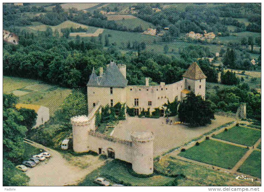 Carte Postale  63.  Aigueperse  Chateau De La Roche Vue D'avion Trés Beau Plan - Aigueperse