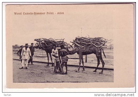 LOT-KO , YEMEN , ADEN , Wood Camels Steamer Point - Yémen