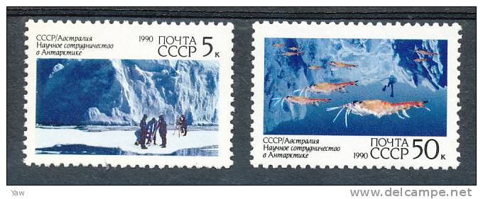 RUSSIA 1990  COOPERAZIONE SCIENTIFICA IN ANTATICO. SERIE COMPLETA MNH** - Nature