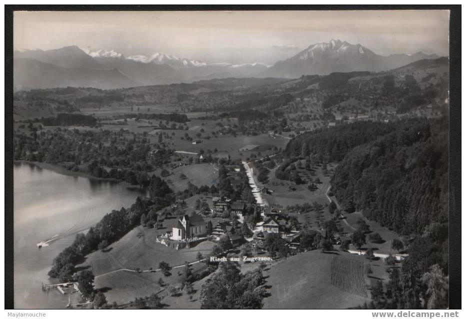 Risch Gegen Die Alpen Zugersee - Zoug