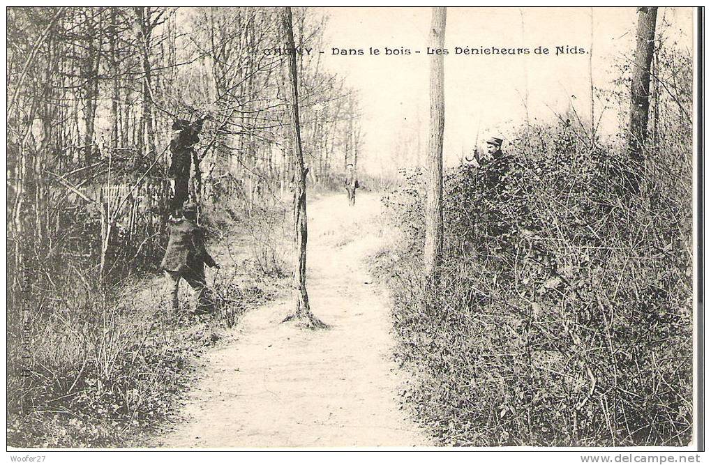 GAGNY , Braconnage  ,les Dénicheurs  De Nids. - Gagny