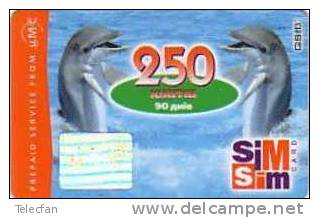 RUSSIE DAUPHINS  DOLFINS 250U SIM UT - Delfines