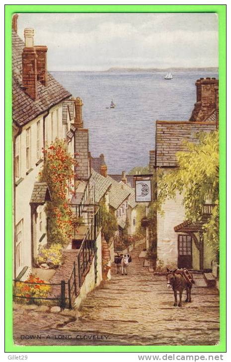 CLOVELLY, UK - DOWN A LONG CLOVELLY - J. SALMON LTD - - Clovelly