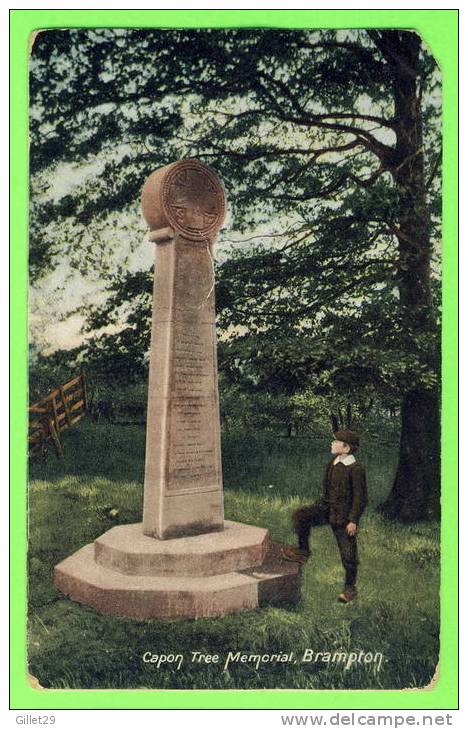 BRAMPTON, UK - CAPON TREE MEMORIAL - ANIMATED SMALL BOY - CARD TRAVEL - - Andere & Zonder Classificatie