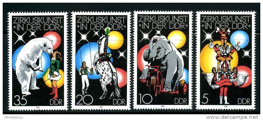 CIRQUE /  ELEPHANT / CHEVAL / OURS / PYRAMIDE /  ALLEMAGNE / D.D.R. - Circus