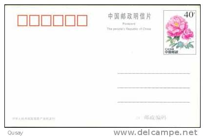 Bike, Rose, Vélo, Ont Augmenté, Cycling Bicycle ,  Pre-stamped Card , Postal Stationery - Ciclismo