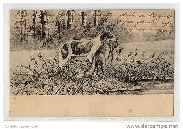 VINTAGE Ca1900 Postal Postcard With Dog Perro Hunt Cazando Fox - Perros