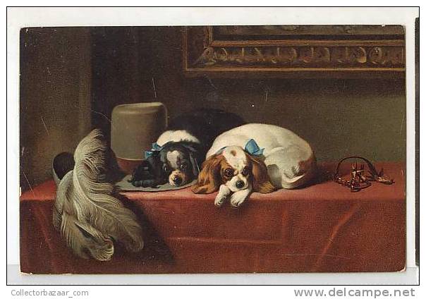 VINTAGE Ca1900 Postal Postcard With Dogs Perros Resting On A Table - Perros